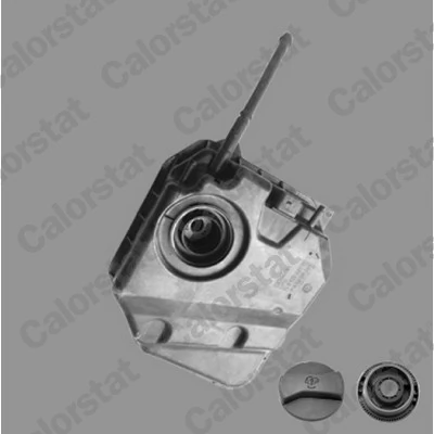 Expansion Tank, coolant